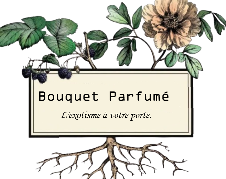 Boutique Pafurme